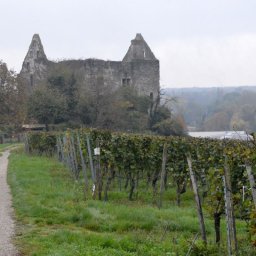 Chorreise ins Elsass