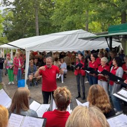 Impressionen Weinfest 2025