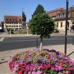 Hessisches Chorfestival 2023